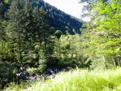 Immagine sofia 016.jpg